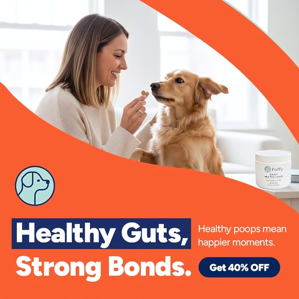 A split-layout ad creative featuring a dog owner feeding their pet a supplement treat, highlighting the benefit of healthy digestion and bonding.